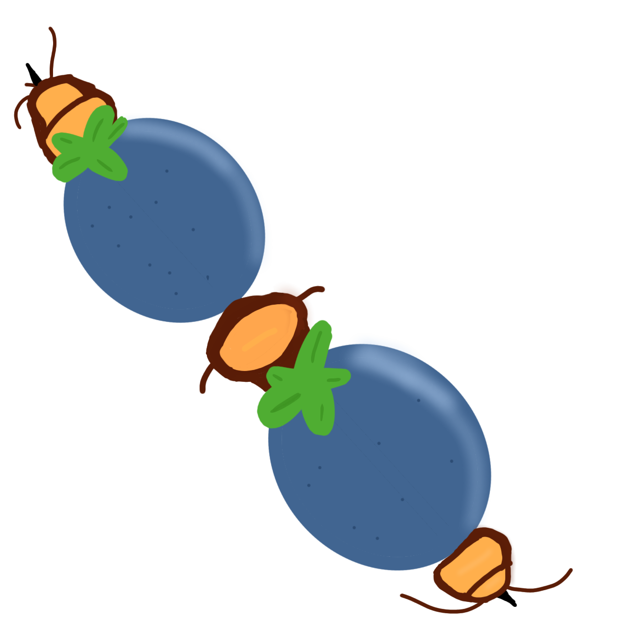 Centipede skewer